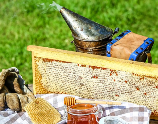 Beekeeping Kits