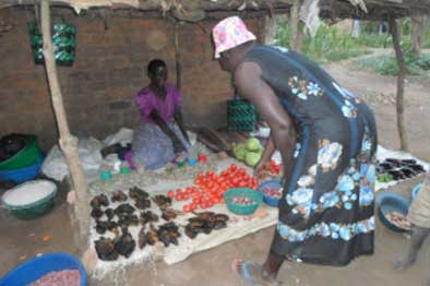 two women outdoors shop stall store business transaction vegetables food tomatoes sitting on ground quote